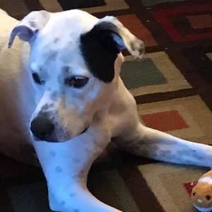 Meet your Posher, Toya